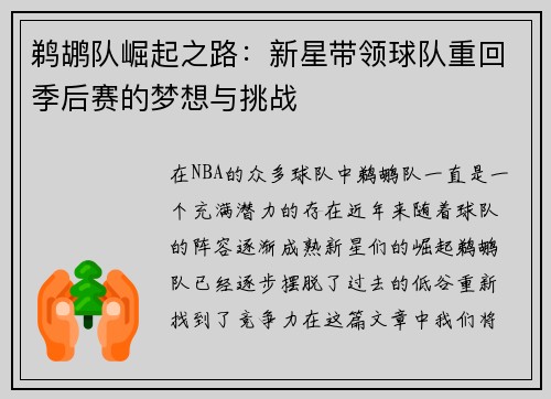 鹈鹕队崛起之路：新星带领球队重回季后赛的梦想与挑战